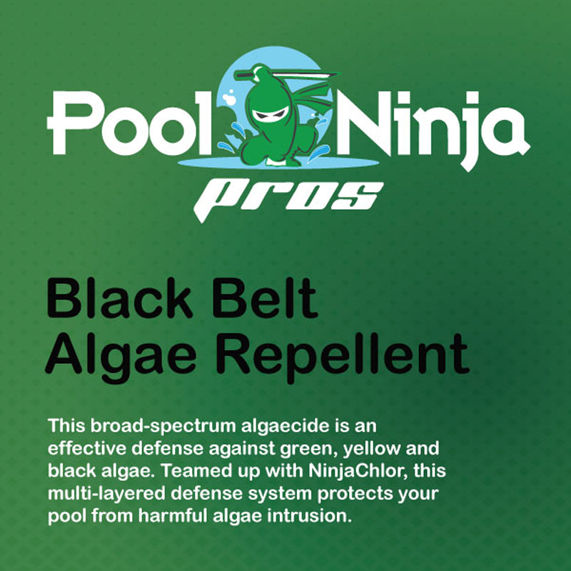Black-belt-algae-repellent-swimming-pool-chemicals-for-sale-near-me