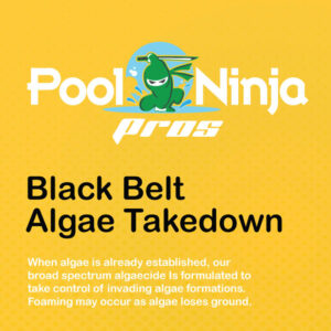 Black-belt-algae-takedown-swimming-pool-chemicals-for-sale-near-me